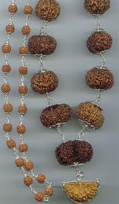 siddha mala rudraksha hyderabad nepal rudraksha hyderabad
